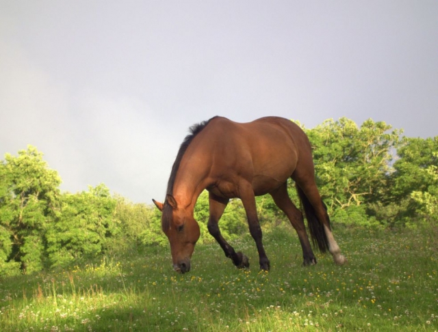  ¡Que tengas una buena aventura! 